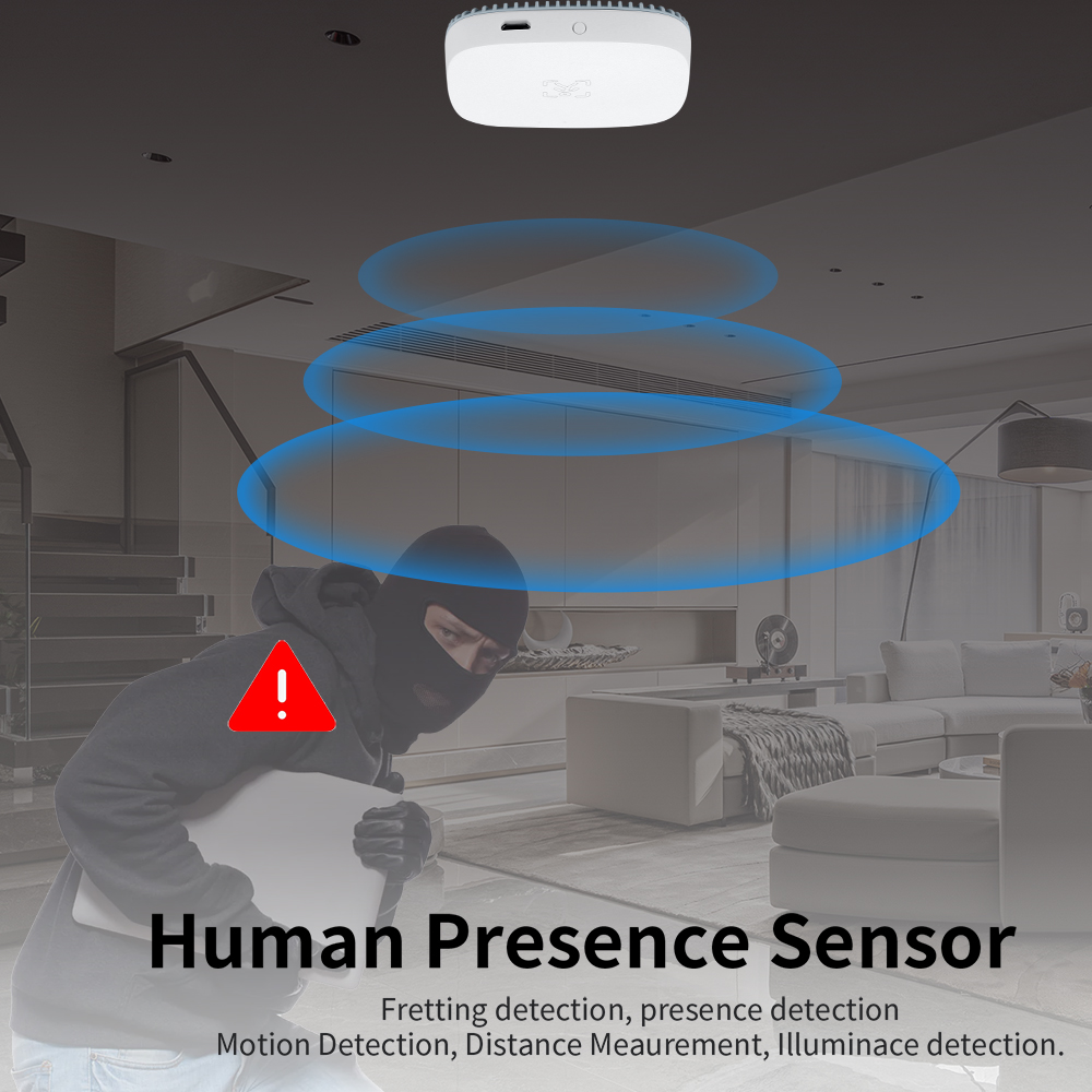 24G Mmwave Radar Human Presenc - огляд і ціна Tasmota