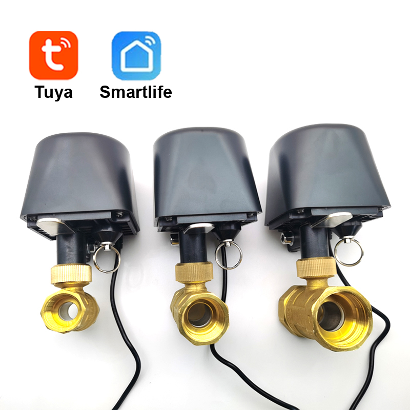 Tuya WiFi or Zigbee Water Valv - огляд і ціна Home Assistant Tuya